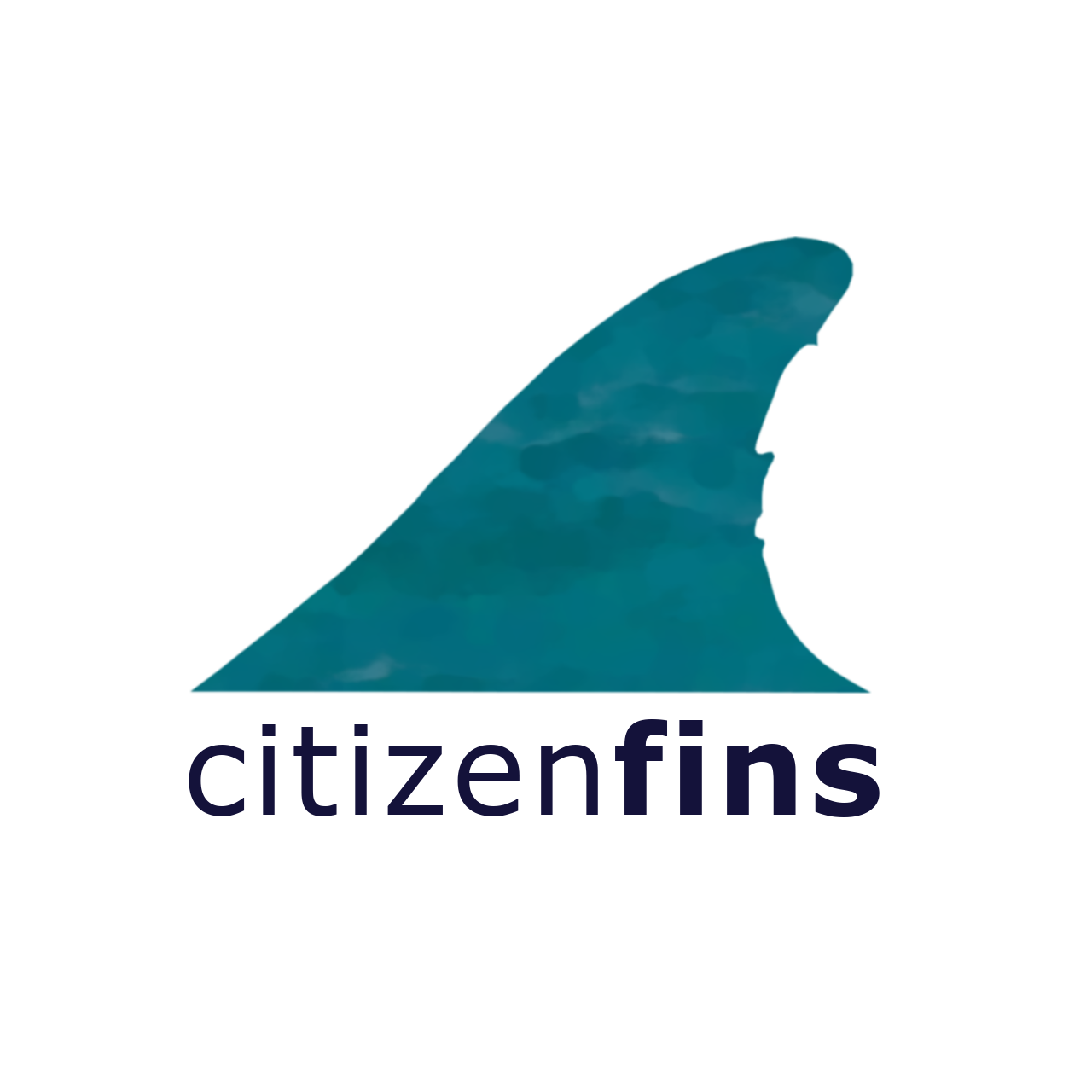 Citizen Fins